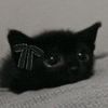 toocute.foryou.anne