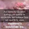 mirtharoldan598