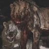 lionfairway