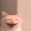 zzzzrrrriia