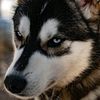 barry_162