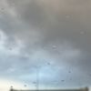 xalfa_