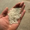 gaogiatot