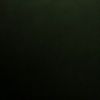 1_abilov
