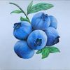 blueberry.soda8