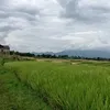 hendrisetiandi
