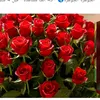 ail__972