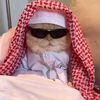haza_22