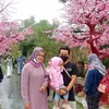 yunisupartini14