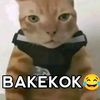 kyy_mewing44