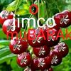 reesqaboob5676605010549