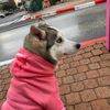 matan_1257