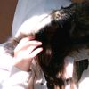 itx_me_378