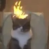 qixksjdjoo__