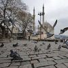 basharahmad439