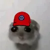 ceglarz1