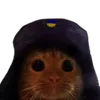 bumarinas