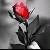 user2012470144332