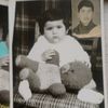 zaur.522