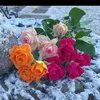 zarachudhary6