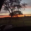 jocimara464