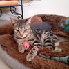 kimba0979