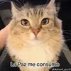 la_paz_me_consume_2913