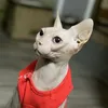 lucyvabanana