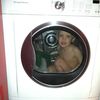 jace_clack13