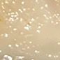 glowingstar24