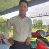 thinhphan8031