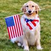ameri_can_soul