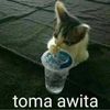 josh_pam4