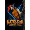 napoleonbird2shop