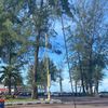ilalau1