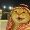 bammbammm4