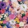em.sanad.mtoor