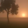 dyubq6mwtnil