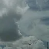 floweeerbean