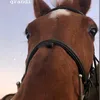 la_m3l0dy