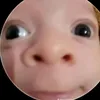 soicodoc2841