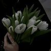 jeonyuu13