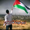 abohebah0