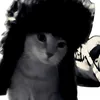 ilabwcats