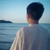 disseluis
