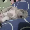 thatscecee