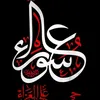 hs_8l