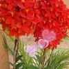 ghnon7