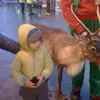suhayl_s.1
