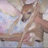 lilspammy2